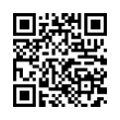 QR Code (код быстрого отклика)