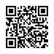 QR Code (код быстрого отклика)