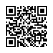 QR Code (код быстрого отклика)