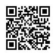 QR Code (код быстрого отклика)