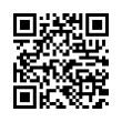 QR Code (код быстрого отклика)