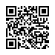 QR Code (код быстрого отклика)