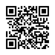 QR Code (код быстрого отклика)