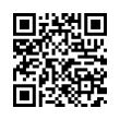 QR Code (код быстрого отклика)