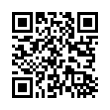 QR Code (код быстрого отклика)