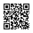 QR Code (код быстрого отклика)