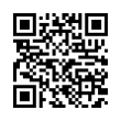 QR Code (код быстрого отклика)