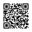 QR Code (код быстрого отклика)