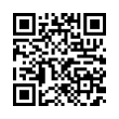 QR Code (код быстрого отклика)