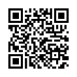 QR Code (код быстрого отклика)