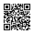 QR Code (код быстрого отклика)