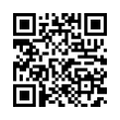 QR Code (код быстрого отклика)