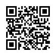 QR Code (код быстрого отклика)