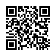 QR Code (код быстрого отклика)