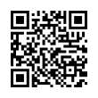 QR Code (код быстрого отклика)