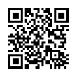 QR Code (код быстрого отклика)