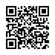 QR Code (код быстрого отклика)