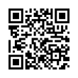 QR Code (код быстрого отклика)