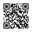 QR Code (код быстрого отклика)