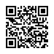 QR Code (код быстрого отклика)