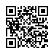 QR Code (код быстрого отклика)