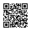 QR Code (код быстрого отклика)