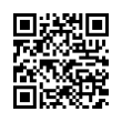 QR Code (код быстрого отклика)