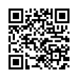 QR Code (код быстрого отклика)