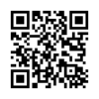 QR Code (код быстрого отклика)