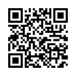 QR Code (код быстрого отклика)