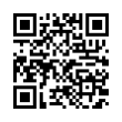 QR Code (код быстрого отклика)