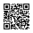 QR Code (код быстрого отклика)
