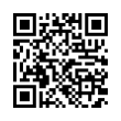 QR Code (код быстрого отклика)