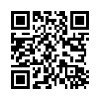 QR Code (код быстрого отклика)