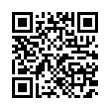 QR Code (код быстрого отклика)