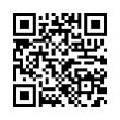 QR Code (код быстрого отклика)