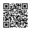 QR Code (код быстрого отклика)