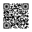 QR Code (код быстрого отклика)