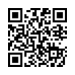 QR Code (код быстрого отклика)