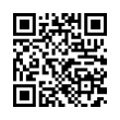 QR Code (код быстрого отклика)