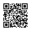 QR Code (код быстрого отклика)