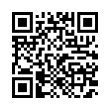 QR Code (код быстрого отклика)