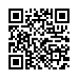 QR Code (код быстрого отклика)