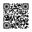 QR Code (код быстрого отклика)