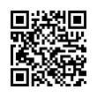 QR Code (код быстрого отклика)