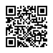 QR Code (код быстрого отклика)