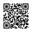 QR Code (код быстрого отклика)