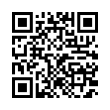 QR Code (код быстрого отклика)