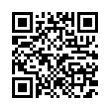 QR Code (код быстрого отклика)