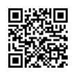 QR Code (код быстрого отклика)